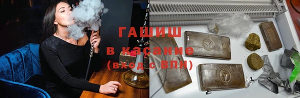 прущие грибы Абаза