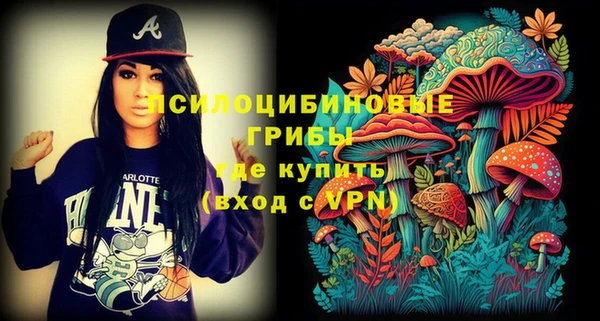 прущие грибы Абаза
