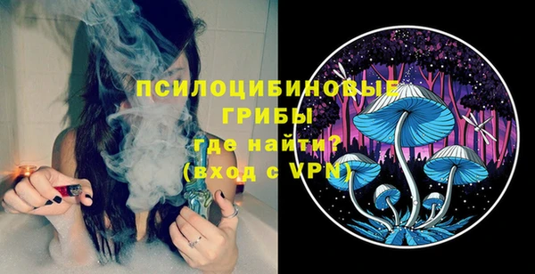 ПСИЛОЦИБИНОВЫЕ ГРИБЫ Абдулино