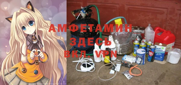 индика Абинск