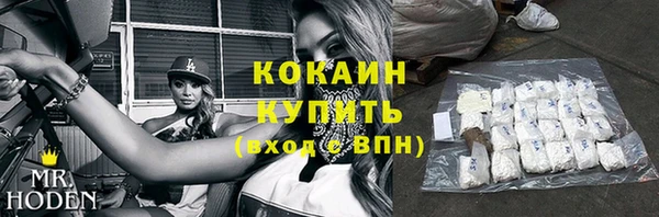 прущие грибы Абаза
