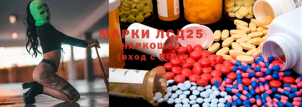 прущие грибы Абаза