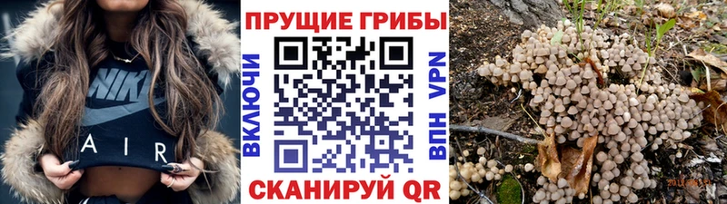 Галлюциногенные грибы прущие грибы  Аксай 
