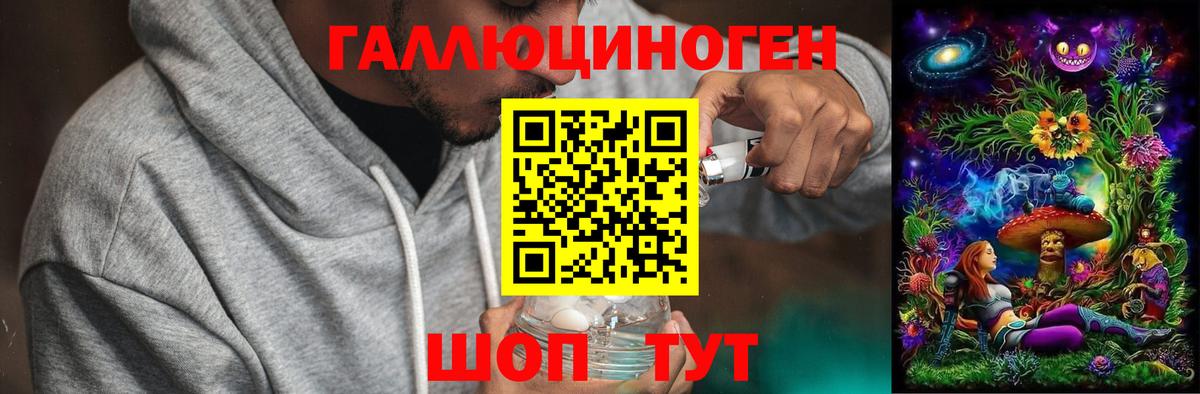 Псилоцибиновые грибы GOLDEN TEACHER  Вход с VPN  Аксай 